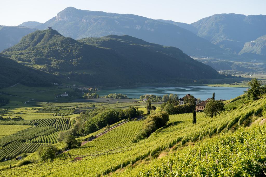 Apartmán Haus Dorfblick Caldaro Exteriér fotografie